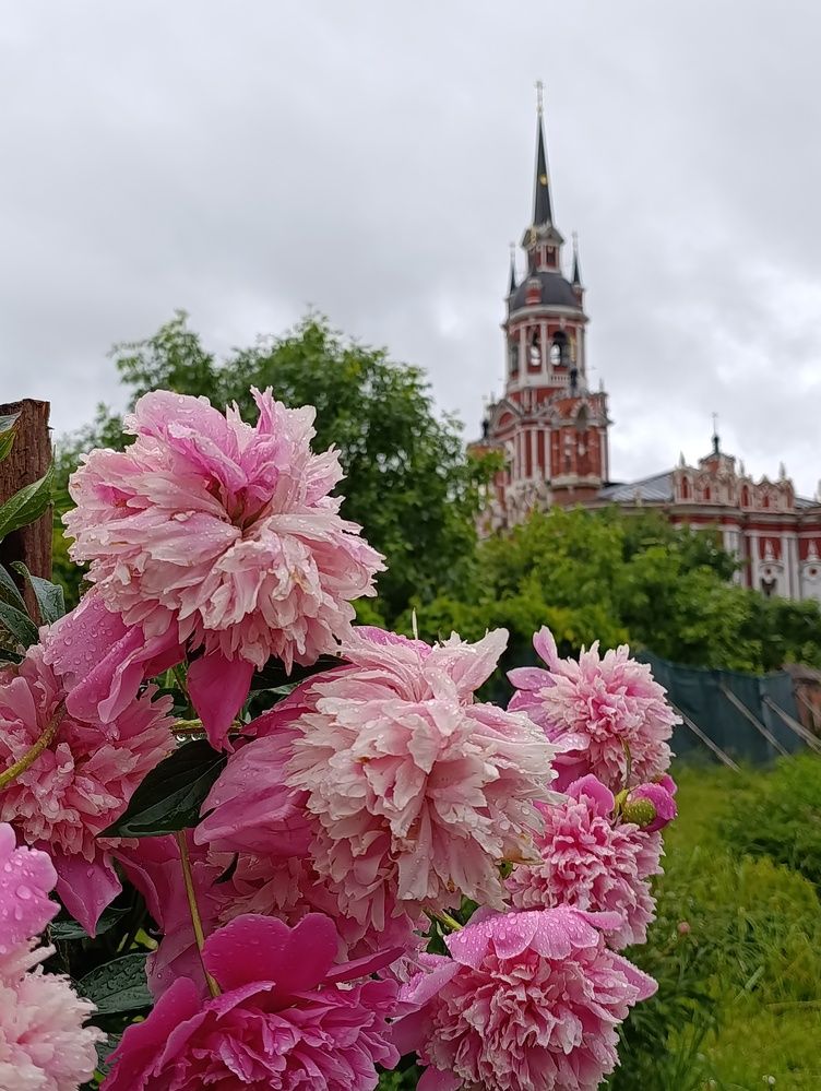 Photograph by Ольга Пилявская