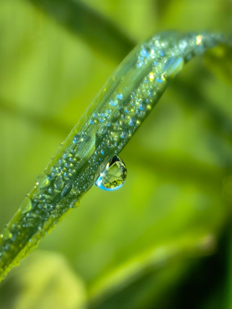 Photograph by Татьяна Емельянова