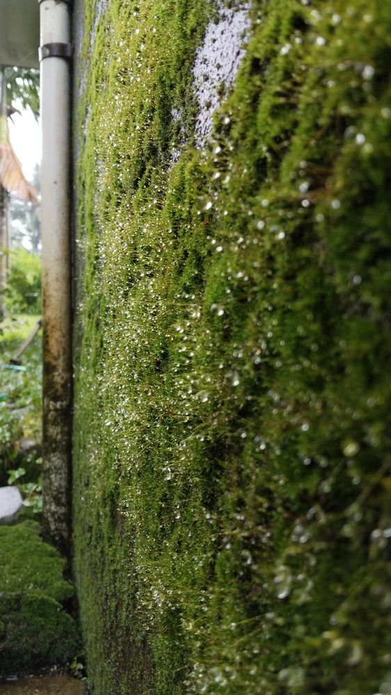 Photograph by Varsha Gatti