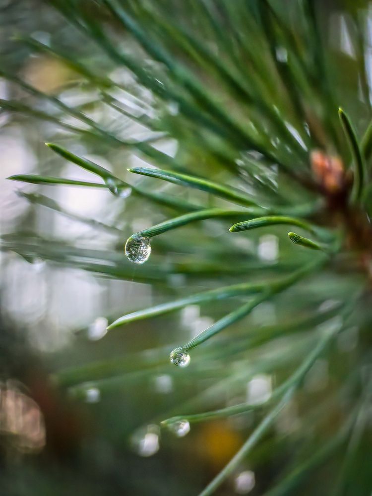 Photograph by Татьяна Емельянова