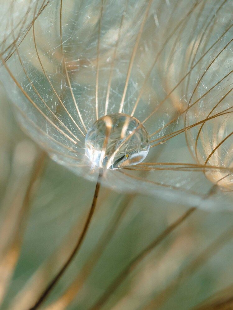 Photograph by Ирина Протченко