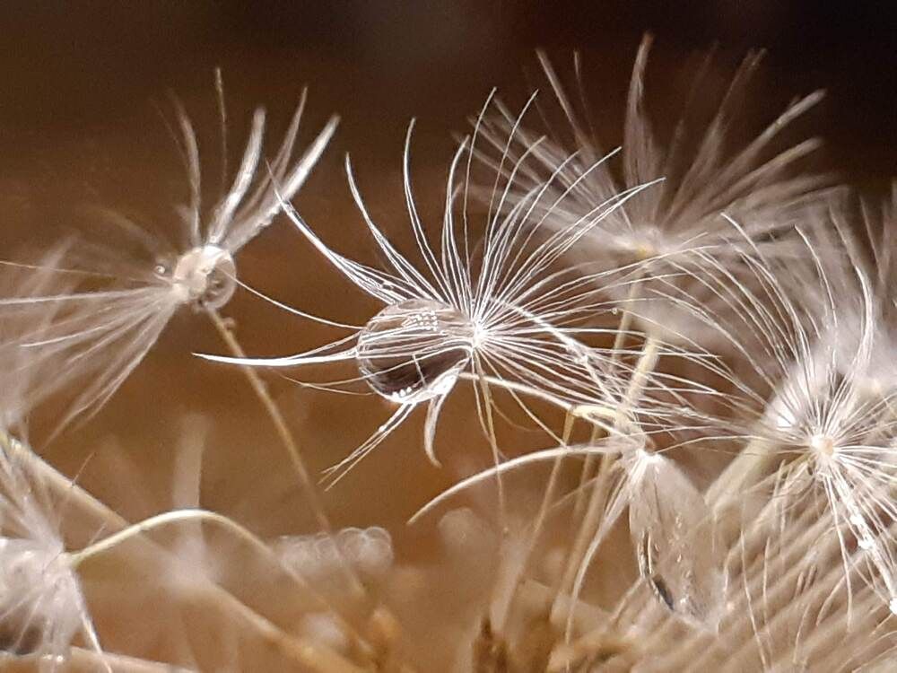 Photograph by Ольга Хромова