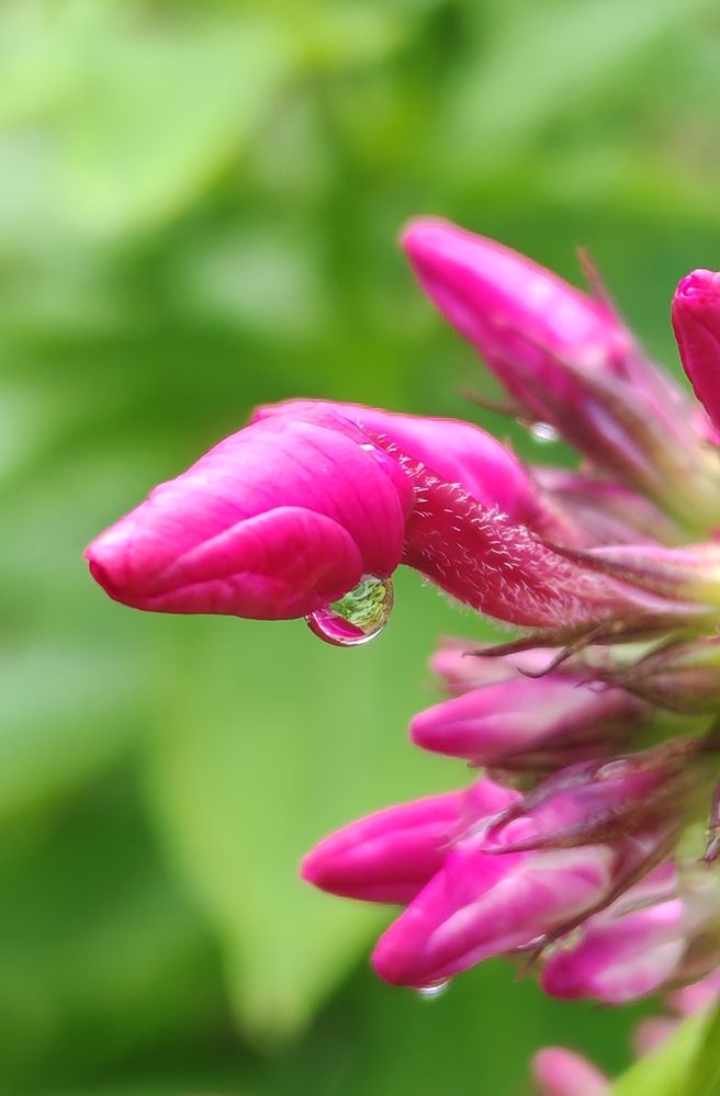 Photograph by Ольга Хромова