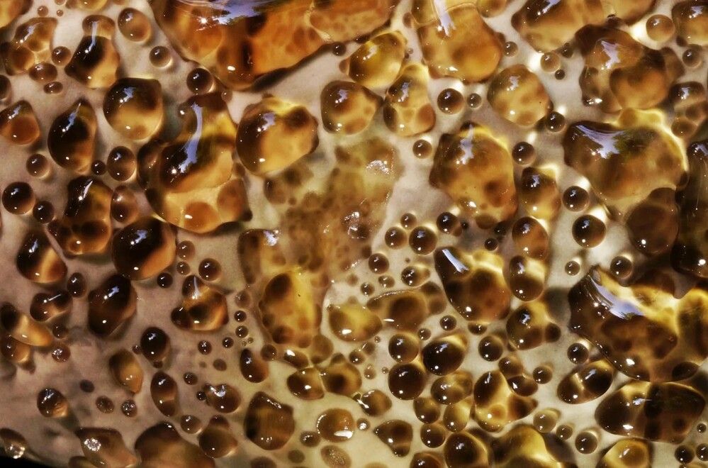 Photograph by Сергей Прокофьев