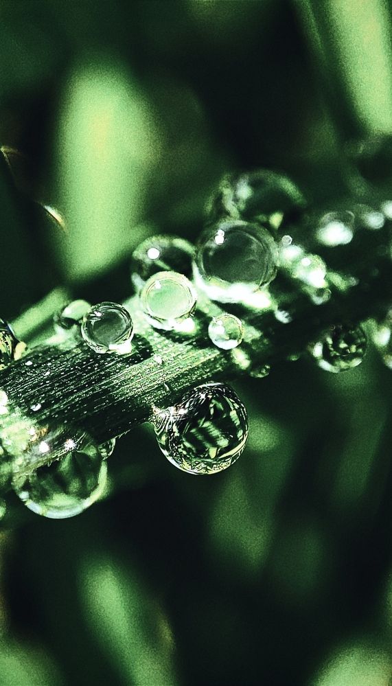Photograph by Наталья Смирнова