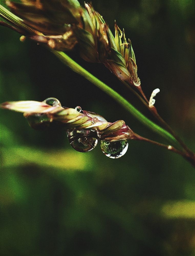 Photograph by Наталья Смирнова