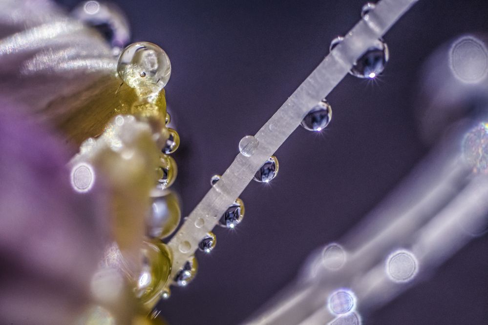 Photograph by Victoria Mogulyan