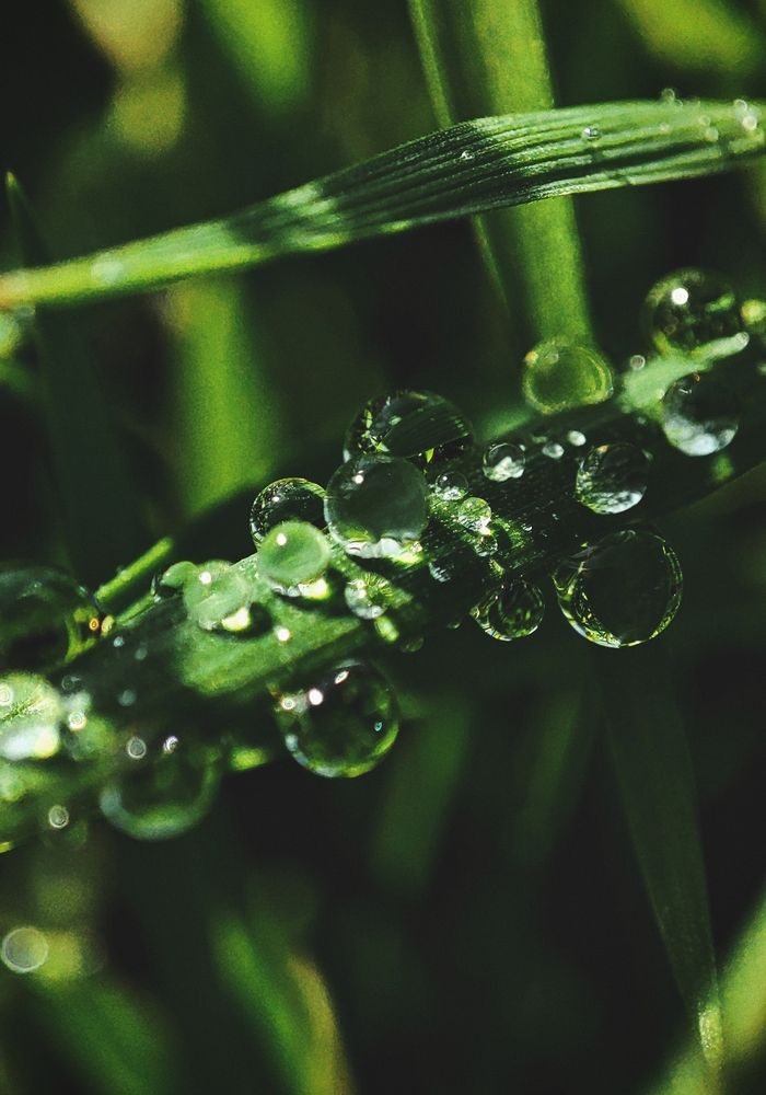 Photograph by Наталья Смирнова