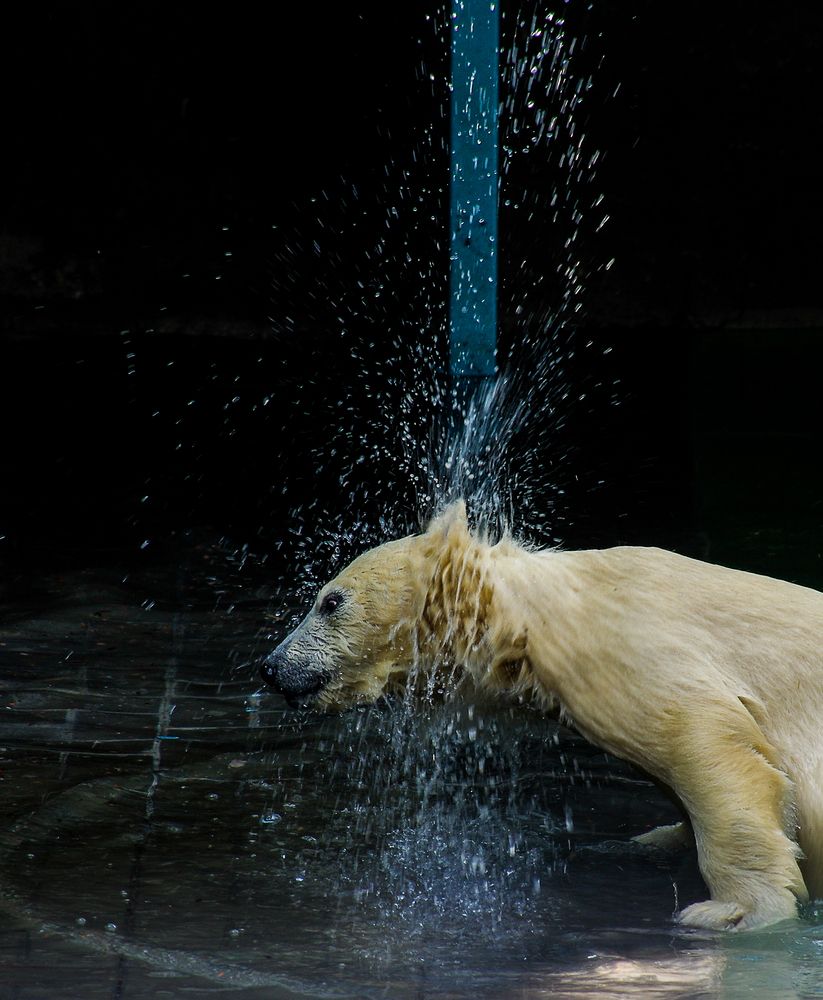 Photograph by Михаил Измайлов