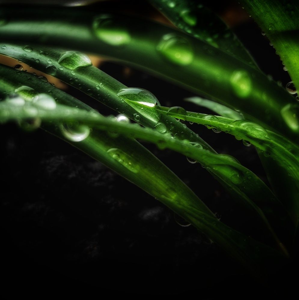 Photograph by Кристина Полякова