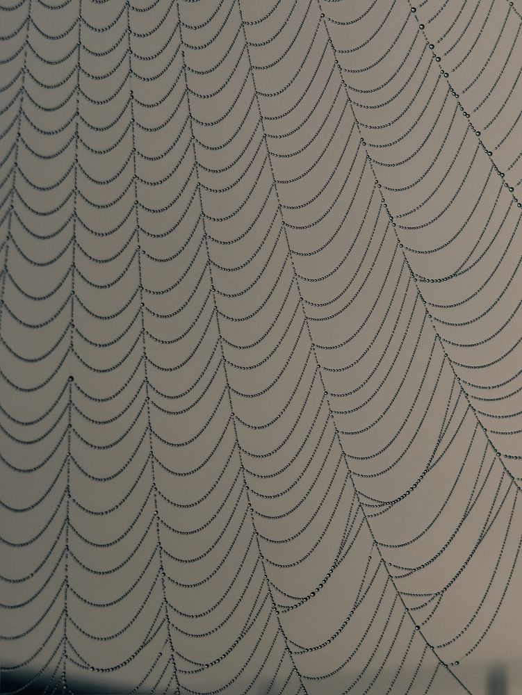 Photograph by Дарина Ворошилова