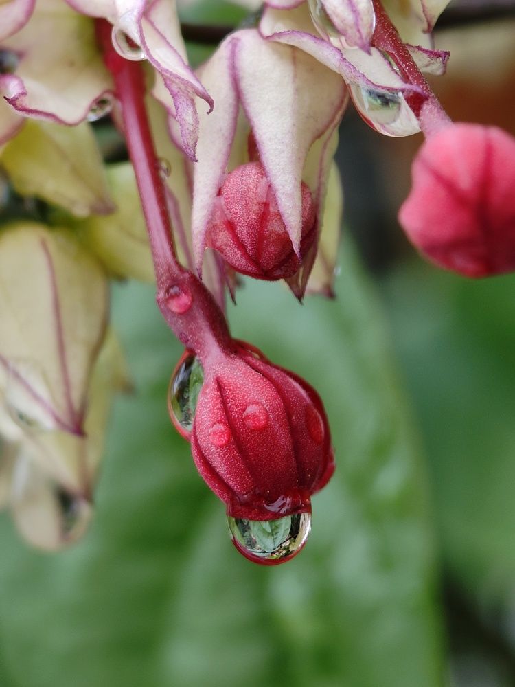 Photograph by Anil Yadav