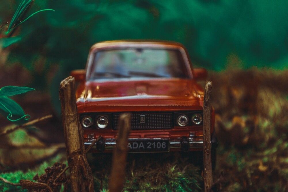 Photograph by Максим Белоус