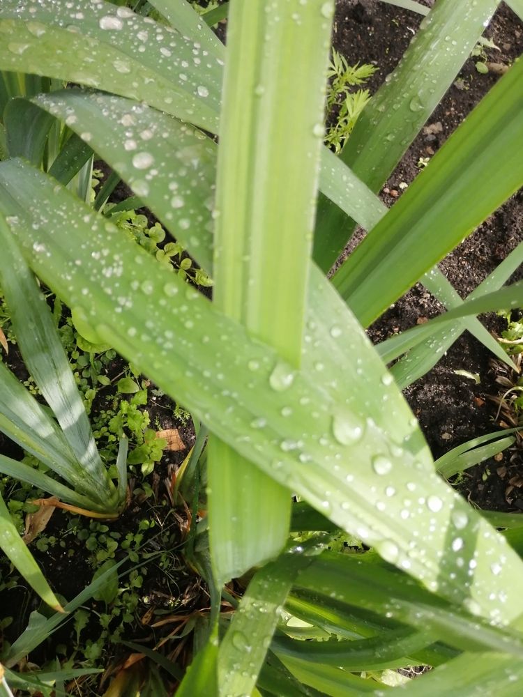 Photograph by Наталия