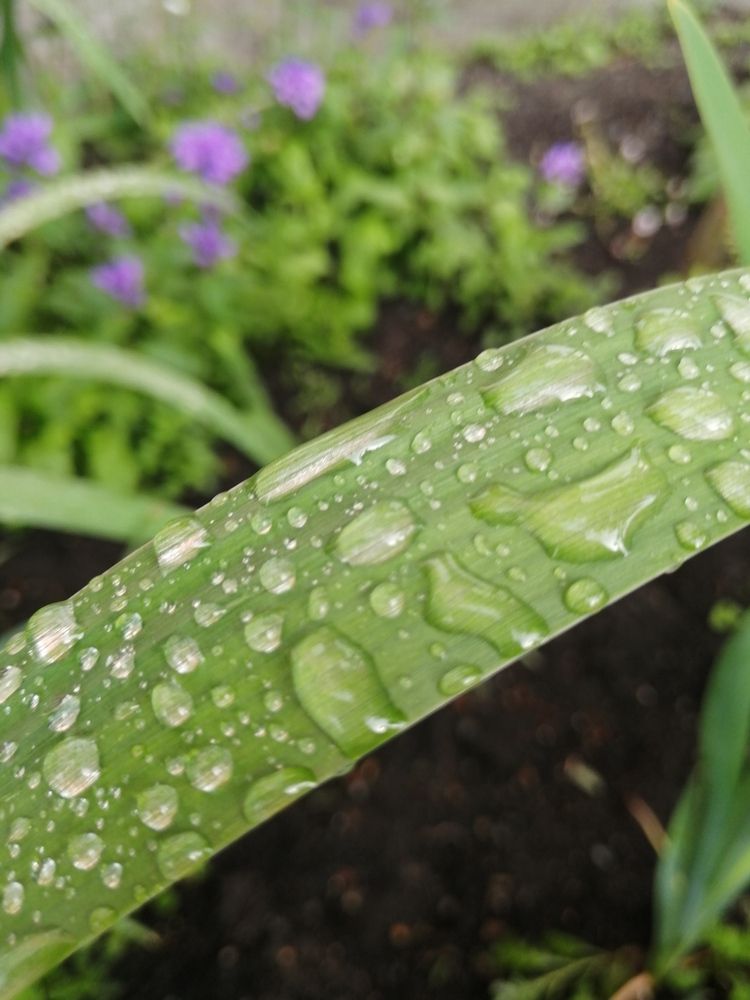 Photograph by Наталия