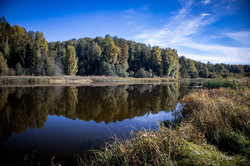 Фотография автора Сергей Назаредский