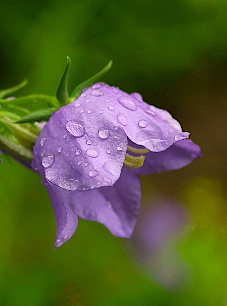 Photograph by Гагик Саркисян