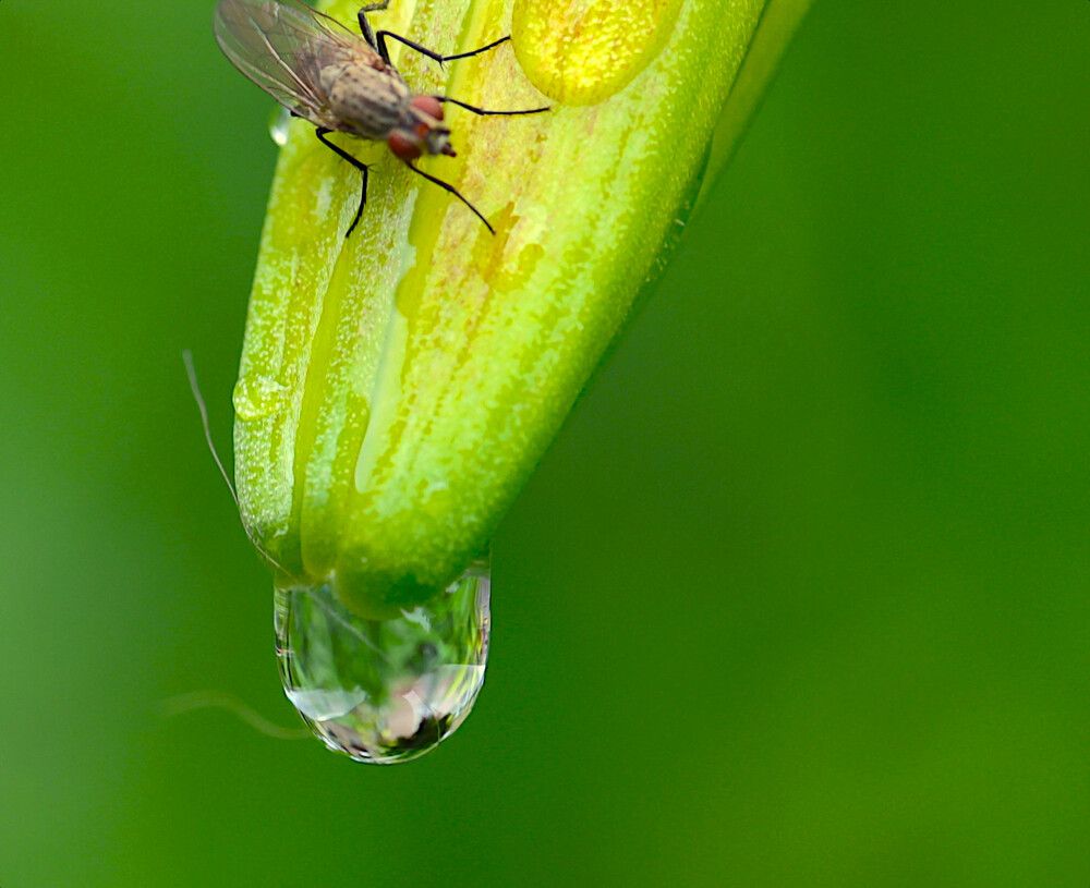 Photograph by Гагик Саркисян