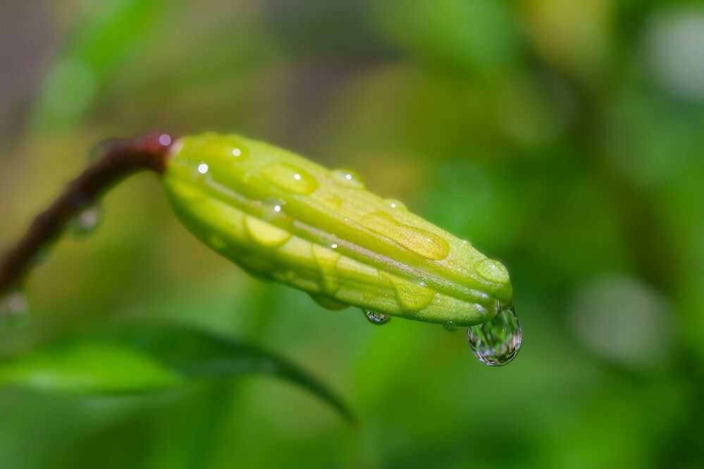 Photograph by Гагик Саркисян