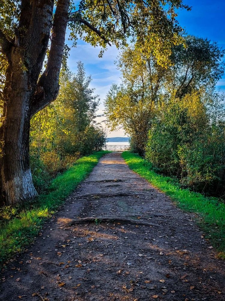 Photograph by Сергей Назаредский