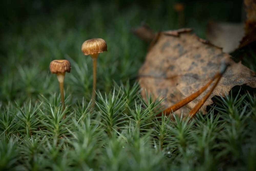 Photograph by Сергей Назаредский