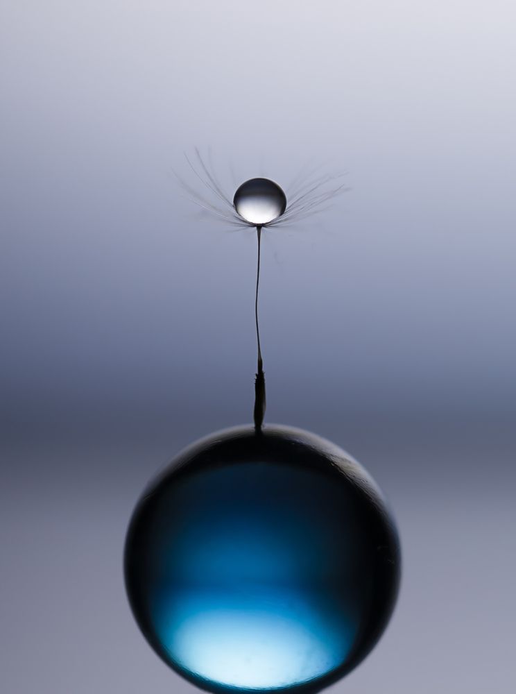 Photograph by Обидина Мария