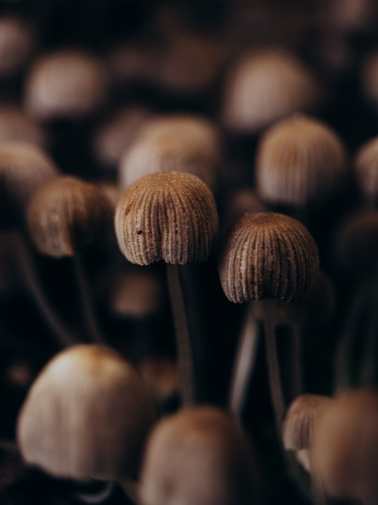 Photograph by Алиса Нежинская