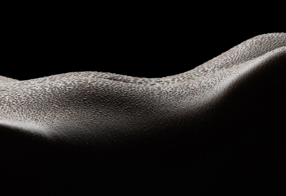 Photograph by Илья Леонов