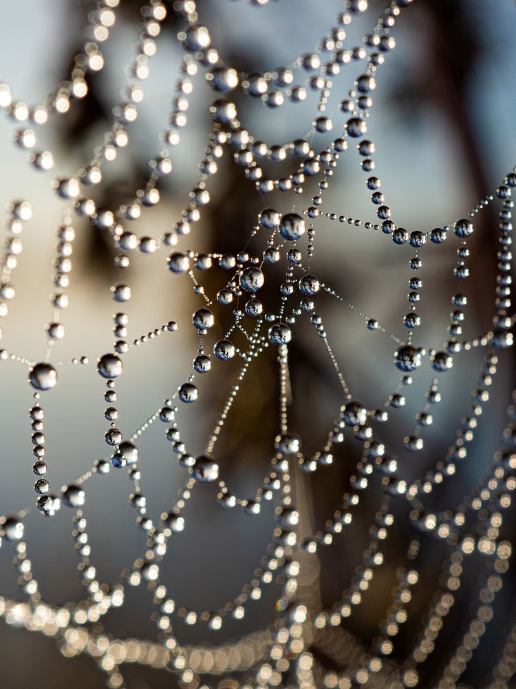 Photograph by Илья Леонов