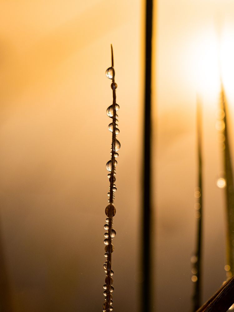 Photograph by Илья Леонов