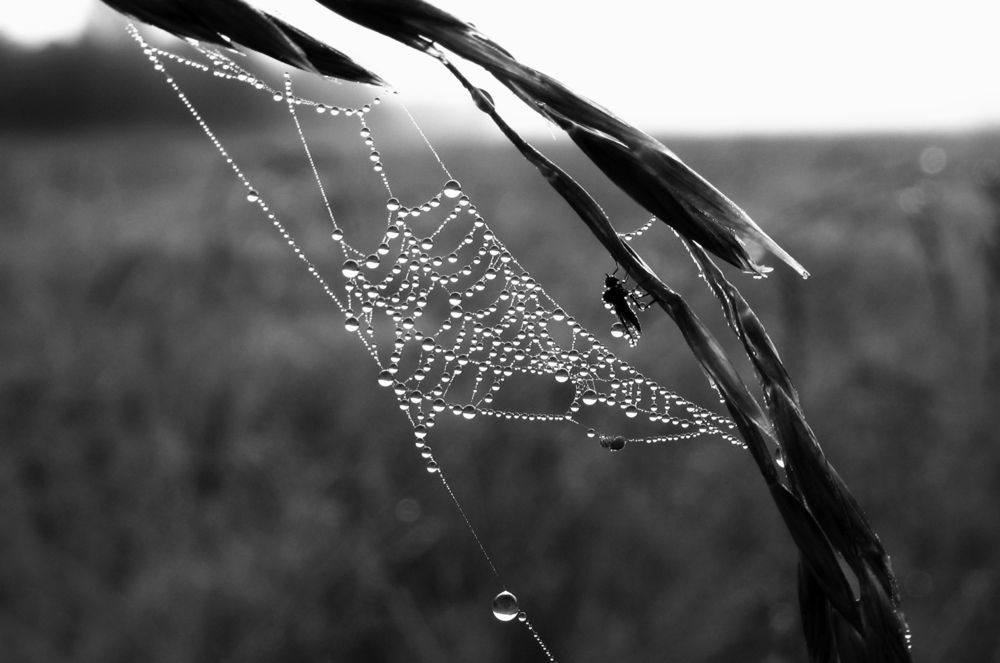 Холодное утро