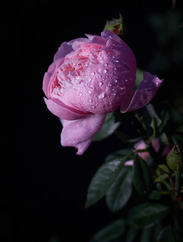 Photograph by Юлия Вялкова