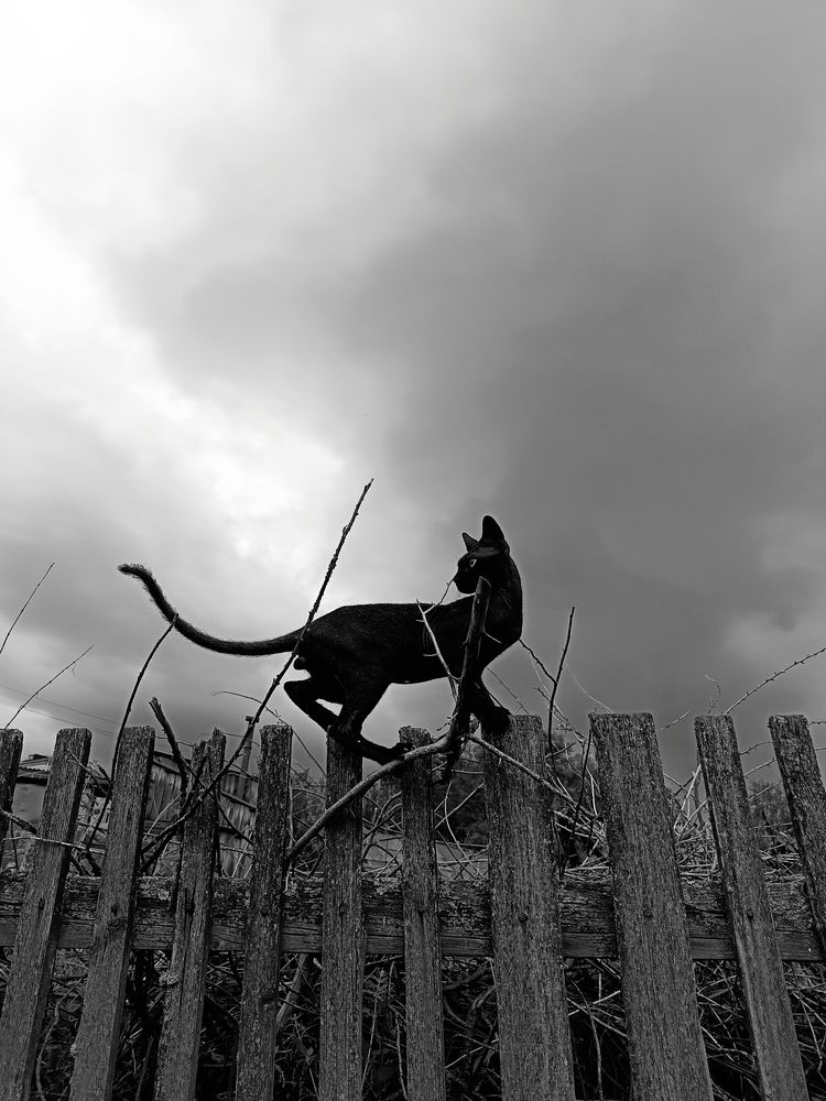 Photograph by Юлия Гагарина