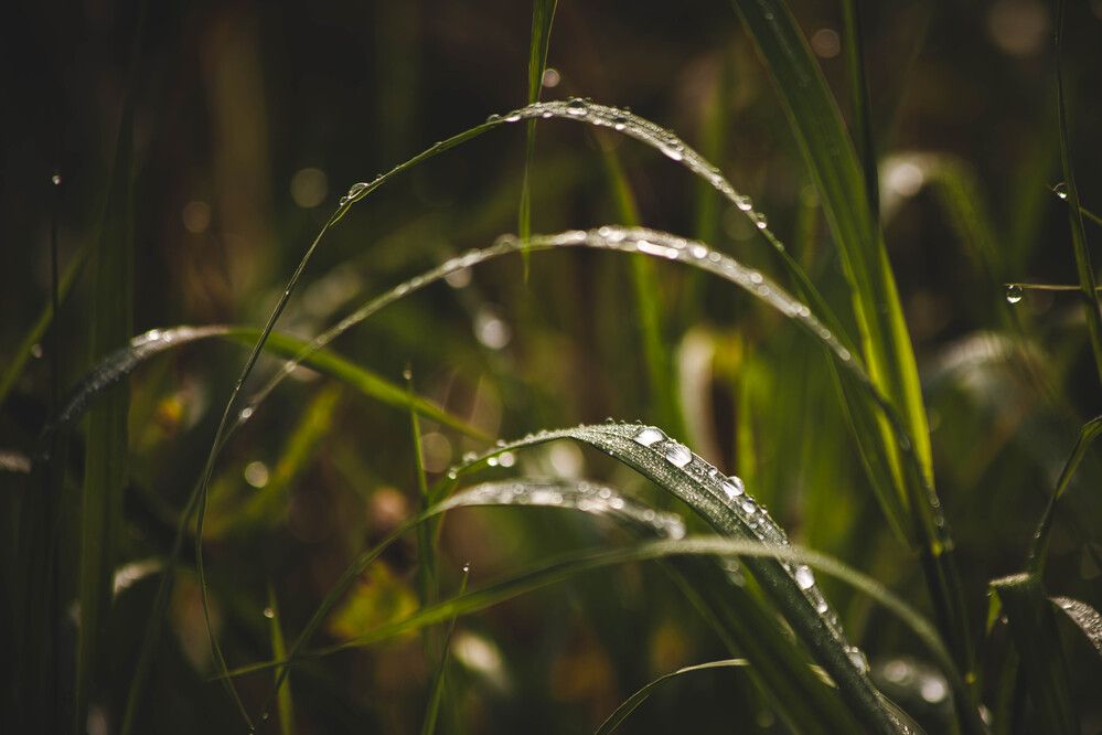 Photograph by Евгений Авдеев