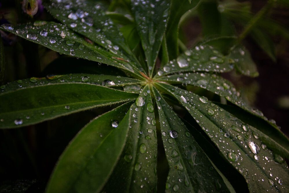 Photograph by Евгений Авдеев