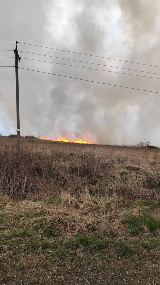 Фотография автора Татьяна Мишкина