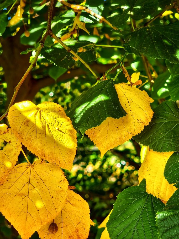 Photograph by Алена Самошина