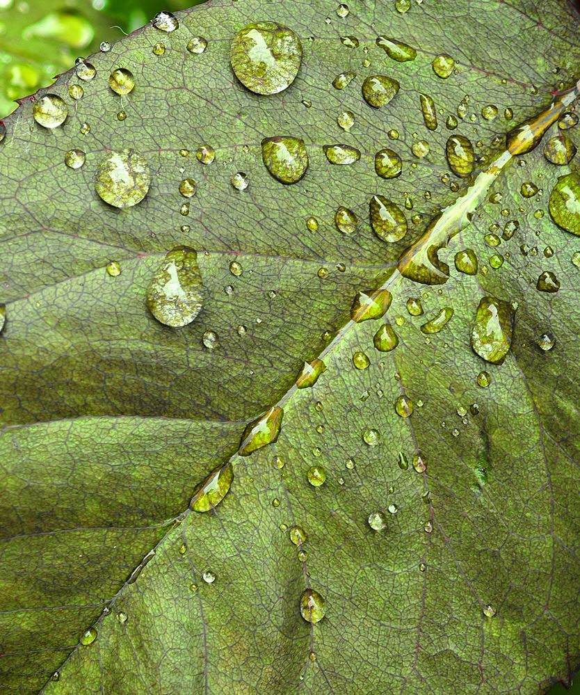 Фотография автора Natalya Firsova