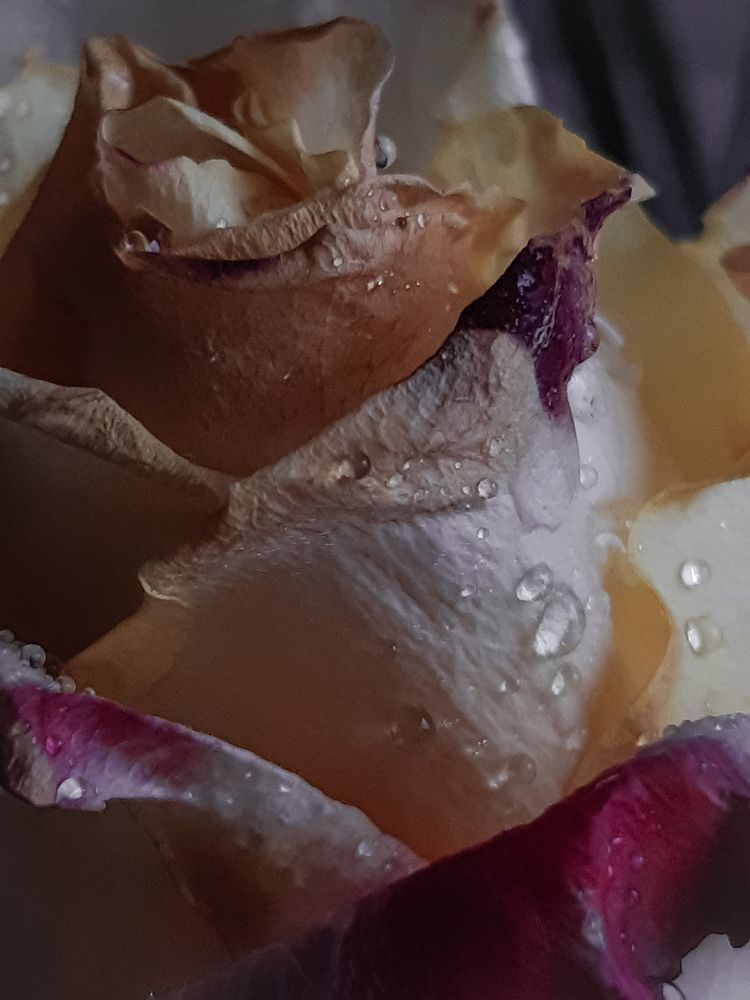 Photograph by Людмила Худякова