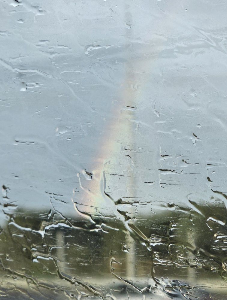 Фотография автора Oksana Podgorodetska