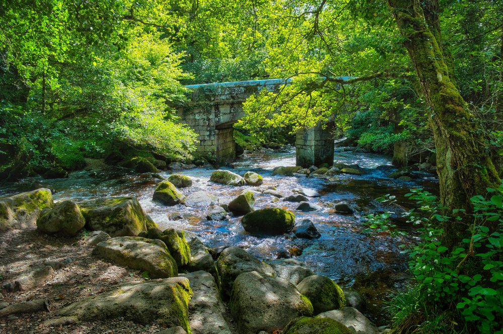 Shaugh Bridge