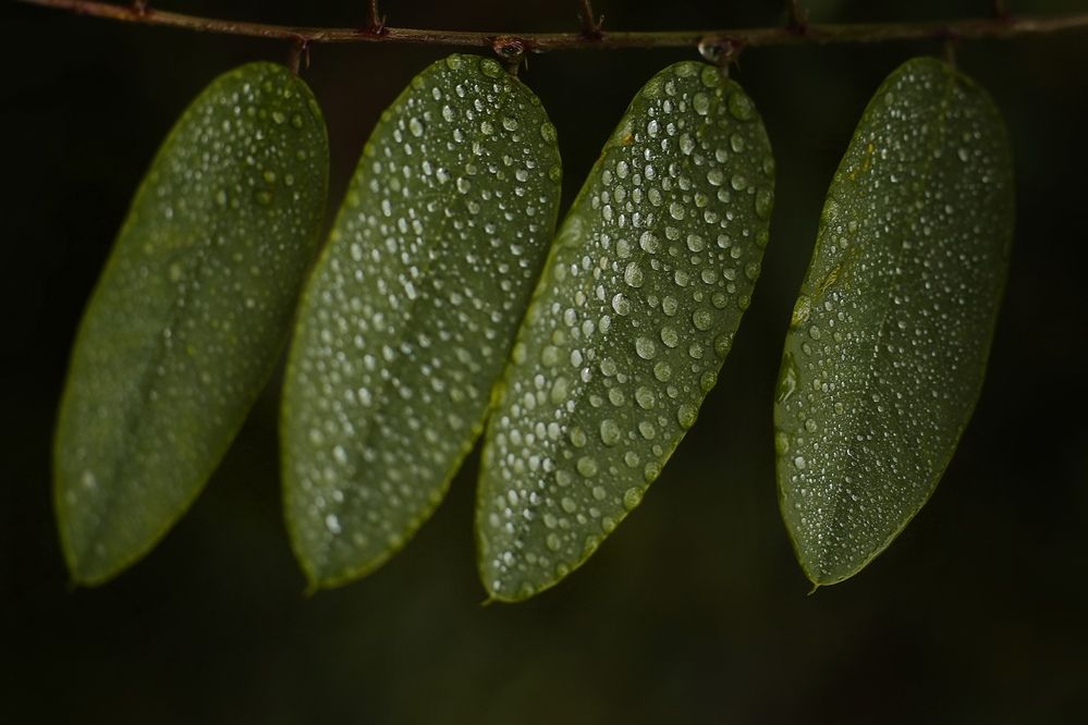 Photograph by Татьяна Бравая