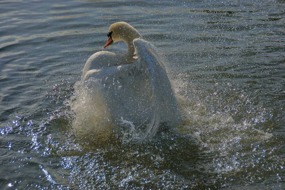 Фотография автора Sergej Roor