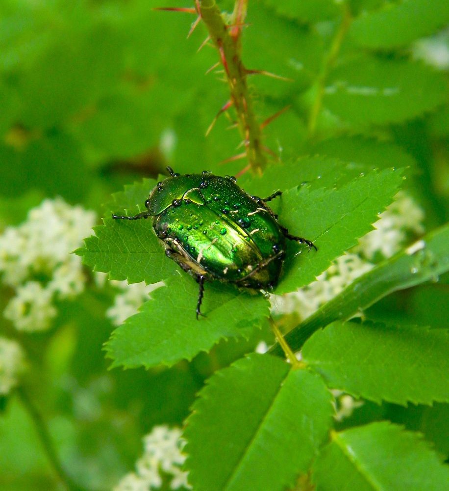 Photograph by Дарья