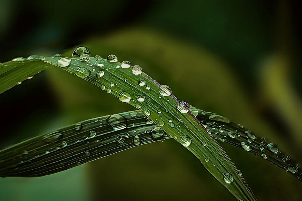 Photograph by Татьяна Бравая