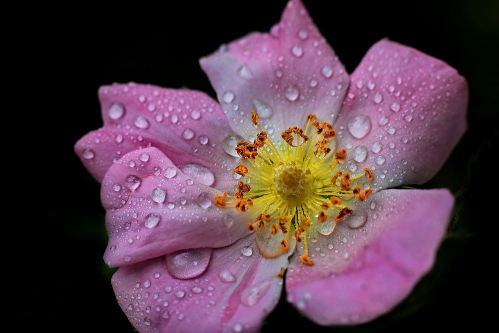 Photograph by Татьяна Бравая