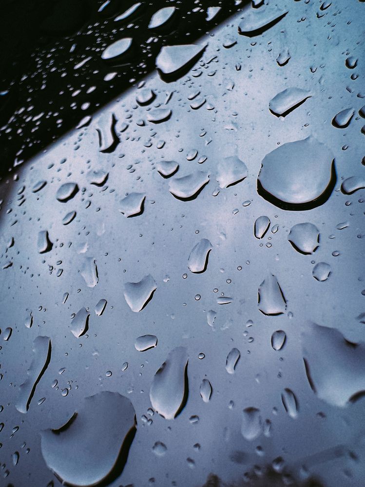 Photograph by Alina Polomoshnova