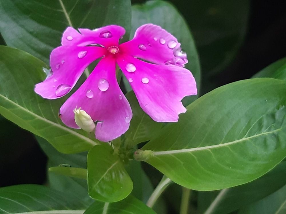 Photograph by Neel Bonna