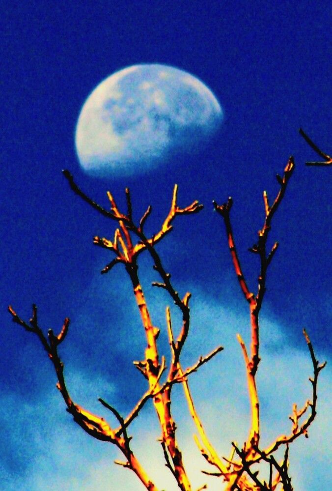 Фотография автора Hamid Reza Abadeh