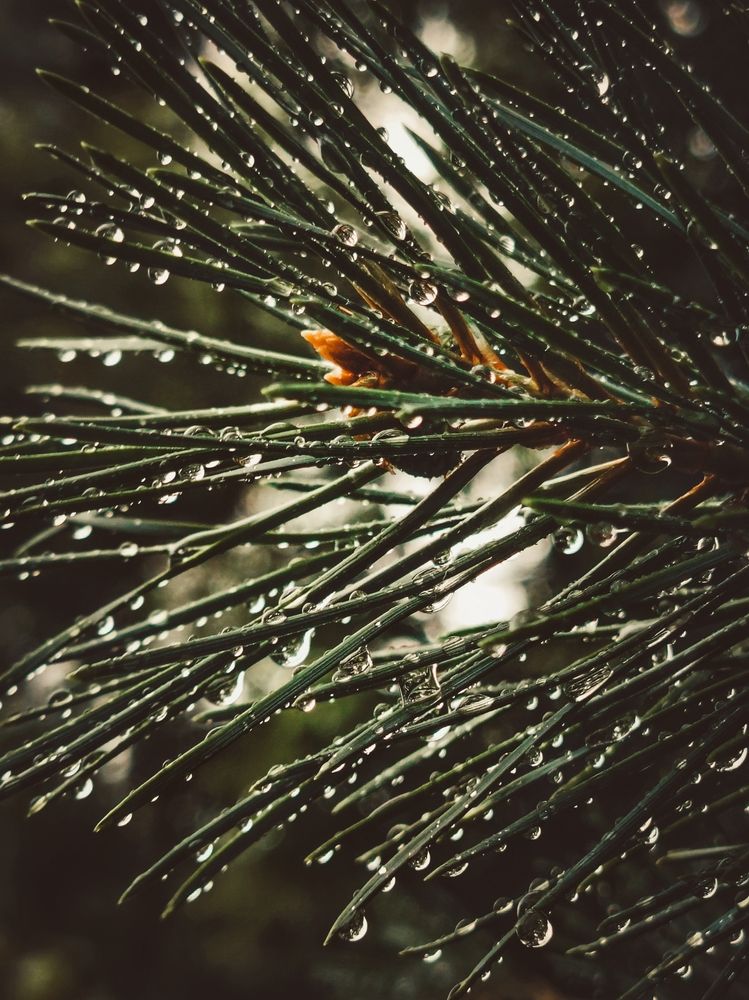 Photograph by Юлия Носкова